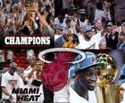 2012 NBA Şampiyonu Miami Heat